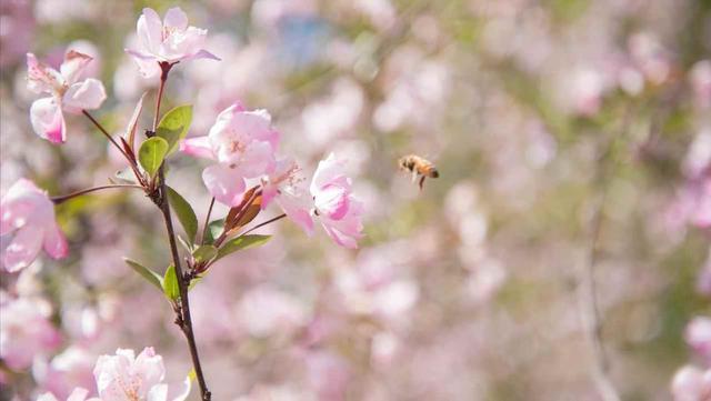 老伴退休跟人自驾游3年，回来我提离婚，她说又没做错为啥要分开