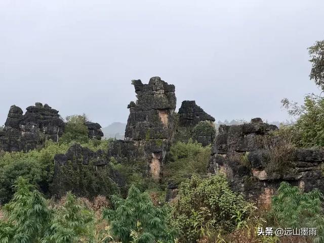 徒步石林蓑衣山、赏水上石林,遇降雨淅淅沥沥,收获特别的体验
