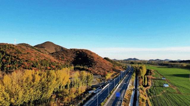 出发！开车窗，听风声，顺义公路寻秋——