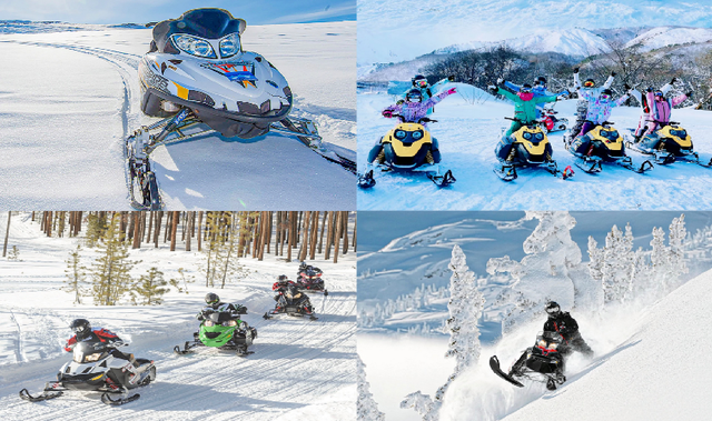 @全国学生，全城景区免票！