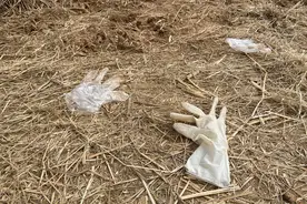 邯郸初中生杀人埋尸案宣判-马某某不予刑事处罚图片