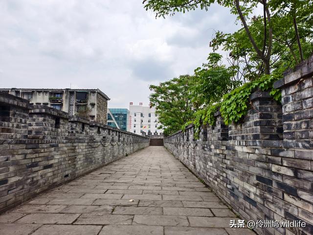 成都古镇（15）郫县唐昌古镇崇宁公园·大椿巷