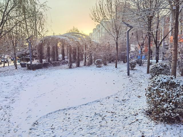 漫步黄河之滨幽静的小路