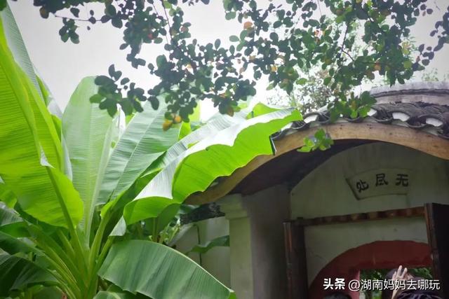 40℃高温？带娃躲进这两处深山秘境，把25℃的清凉和野趣全打包！
