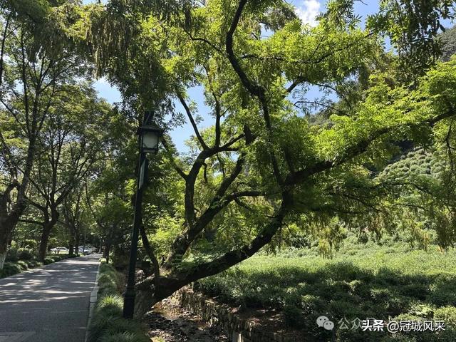 杭州印象·灵隐飞来峰