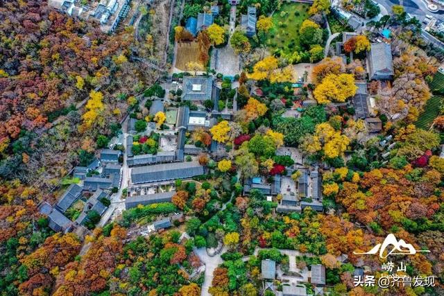 崂山赏秋攻略出炉！快收藏！（内附赏秋地图）