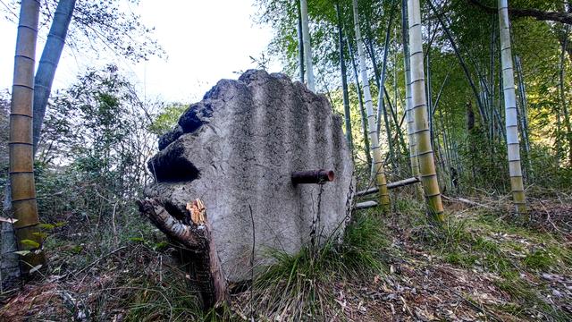白鹤湾村与太子岭古道：一段镌刻历史与自然的千年传奇