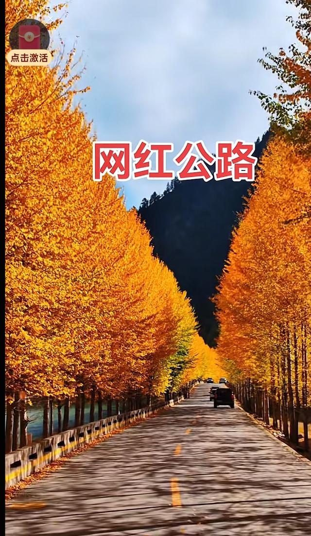 别再只知道青海湖！十月扎碾爆火：“金色隧道”藏着最动人的答案
