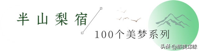 100个美梦丨在天台山云雾深处，藏着一处会呼吸的苔藓秘境