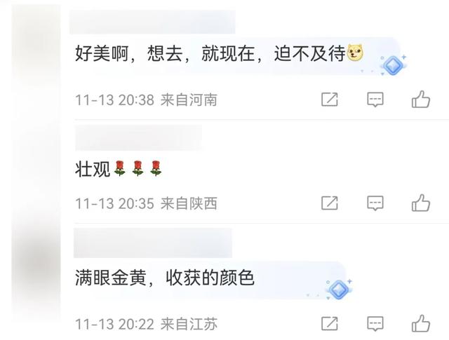 连发两篇!赵立坚推介日照这一美景:每一帧都是壁纸!