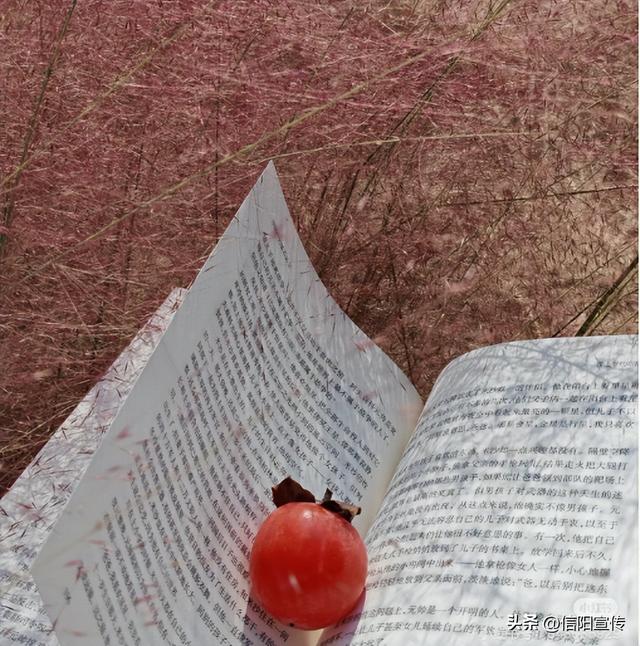 冬日信阳，独具魅力！