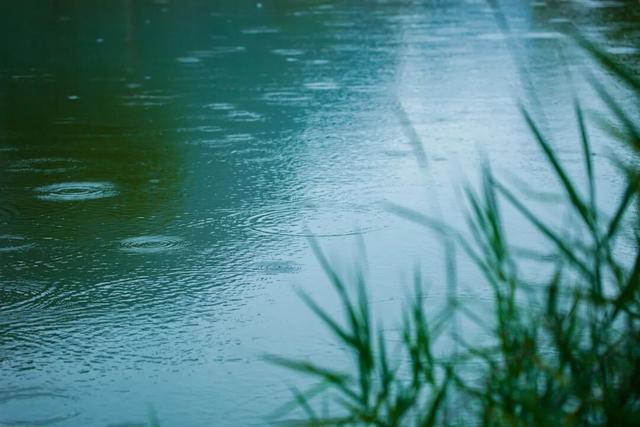 走进雨中的照金，收藏一场北方烟雨的温柔