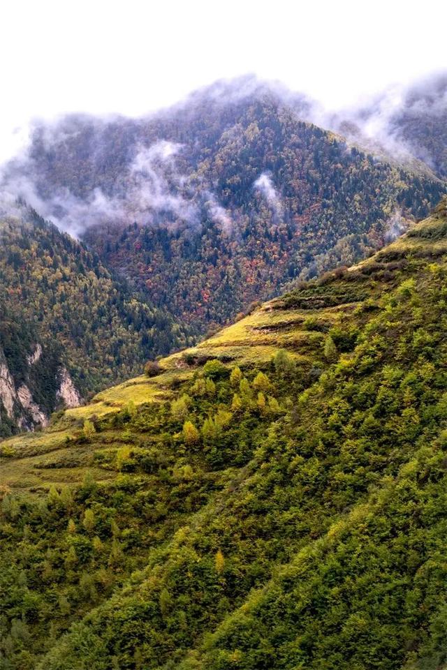 9~11月旅行推荐！全国13处绝美地上线“秋色限定”，现在计划刚好