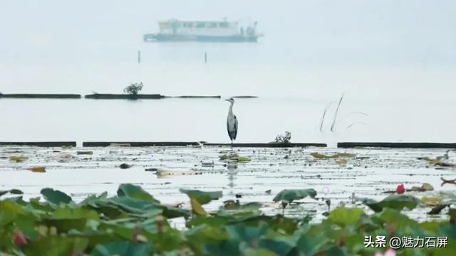 跨越山海的生态之约 奏响人与自然和谐乐章