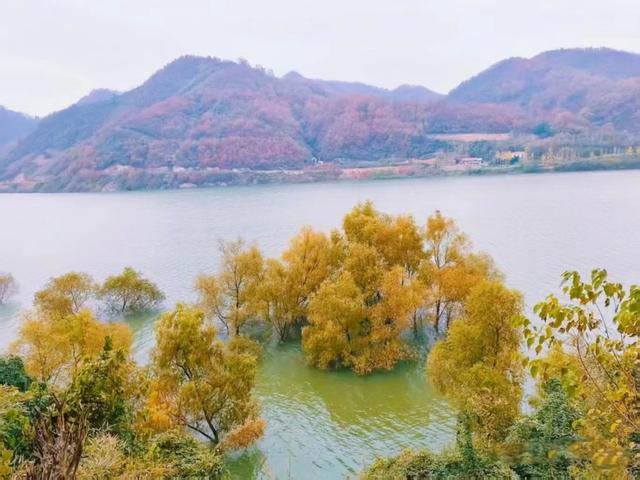 浏河滚滚欲留春，独向芳踪觅雅意——徒步小溪河散记（四）