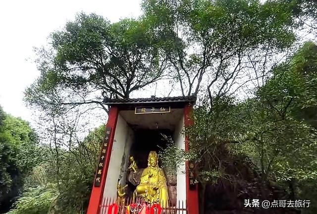 成都龙泉森林徒步路线，被严重低估，不要门票，拍照超级出片！