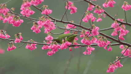 快来抱抱~ | Welcome to 疯狂·武夷山·动物城