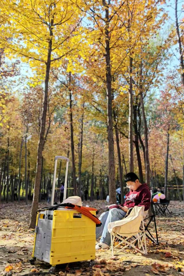 “枫”狂派对，现在进行时……