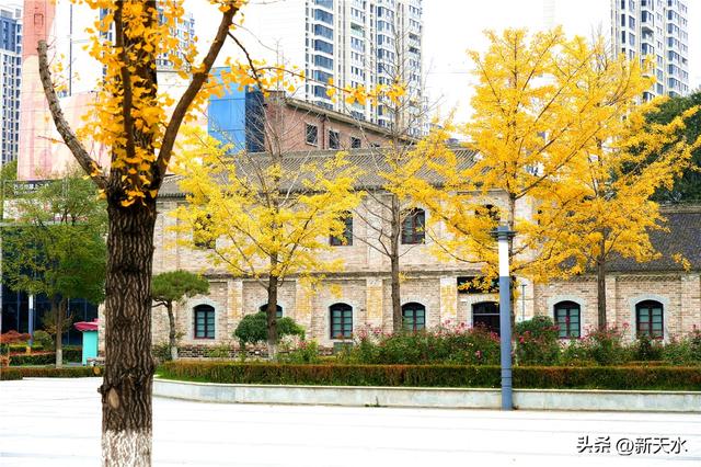 五彩斑斓 叠翠流金 秦州的秋日美极了！