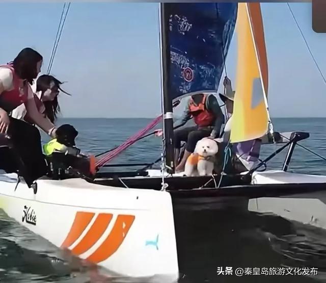 消费潜能激发：北戴河新区小众经济成增长引擎