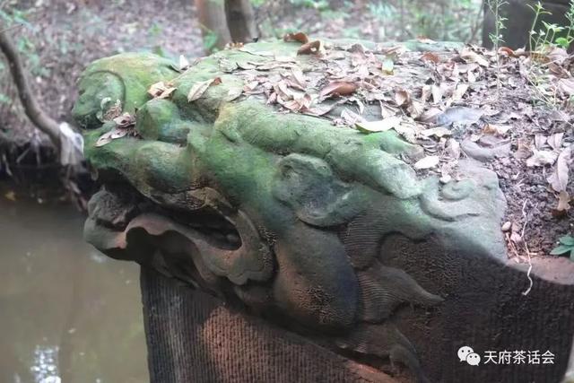 成都简阳：重访东溪桥——在汗水中打捞被遗忘的龙头