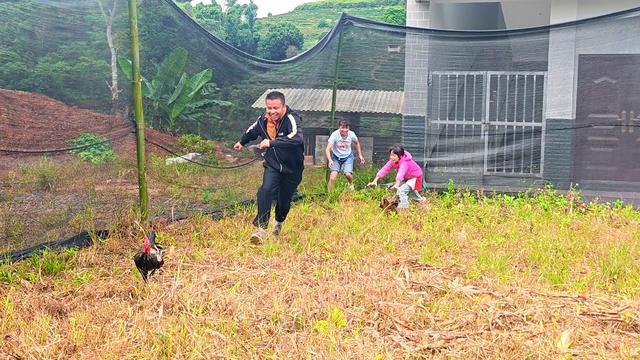 节庆云南 | 云南江城：2025年国门文化系列活动暨瑶家山村盘王节圆满落幕