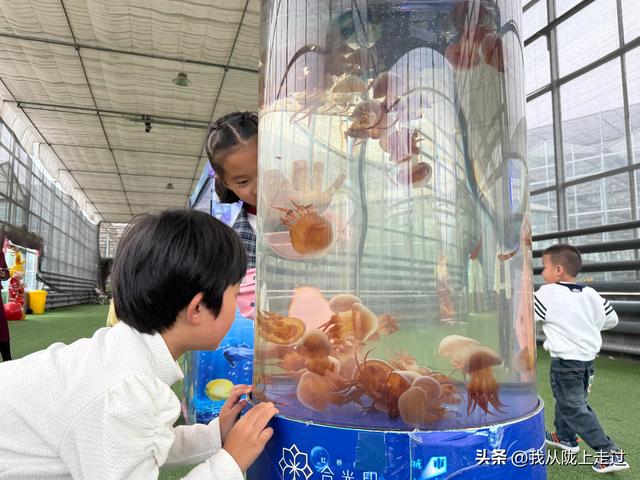 紧急提醒！靖远海洋动物嘉年华剩最后2天，这份游玩攻略请收好！
