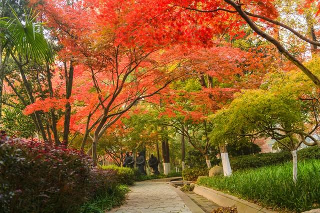南京真糊涂啊！这十个堪比AAAAA级的景点！秋游很美赶快宣传吧！