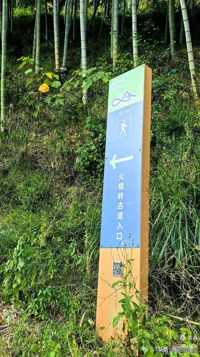 这个鲜为人知的“浙东第一尖”,竟秘藏了星空露营和超多打卡点