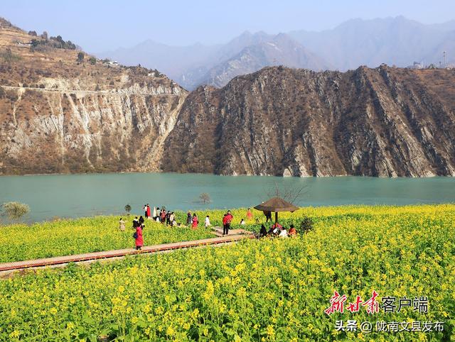 陇上江南冬日花韵