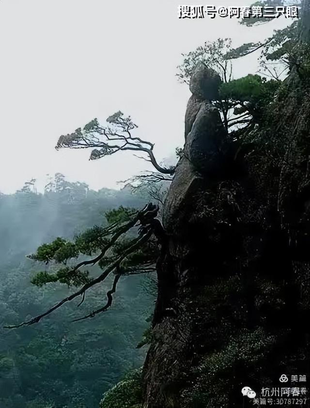 奇峻秀美 三清山