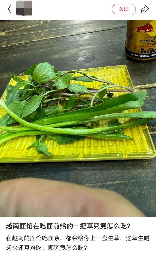 地理冷知识—越南的吸管