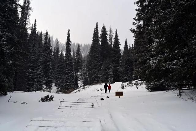 为了这道光，我做了一次疯狂的行动