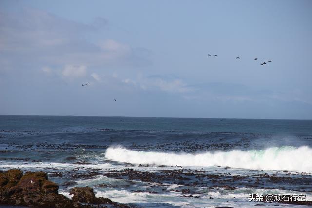 南部非洲：南非好旺角