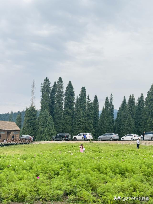 库尔德宁注意事项踩坑旅游攻略
