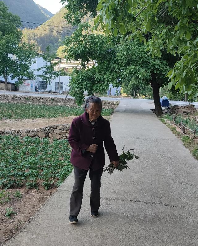 八十六岁邻居婶婶说:我浑身哪都不疼也没病，活着不死可咋办呀！