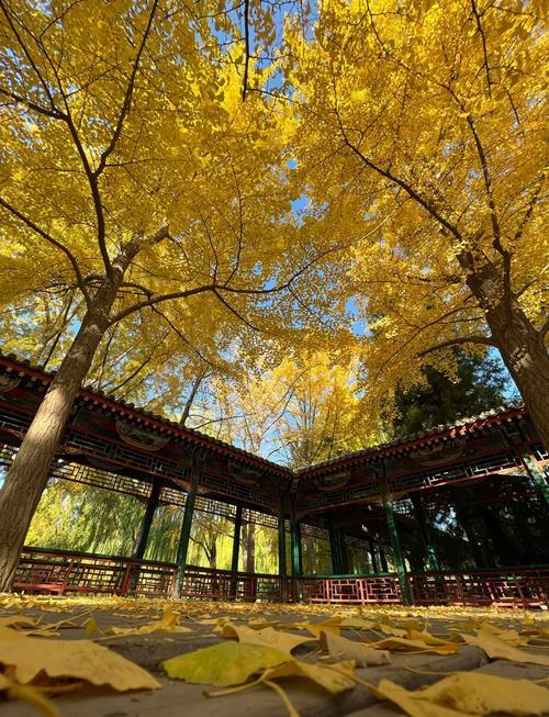 北京中山公园简介