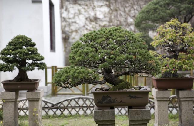 夫妻到了晚年，只要是“分房睡”，大都逃不过3个原因