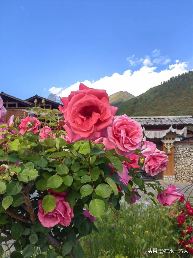 我要去西藏（十三）——总结篇