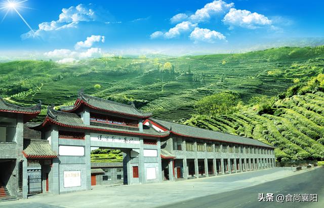 丙午年寻根问祖！2026福山祭祖大典暨中国汉茶文化节4月4日启幕