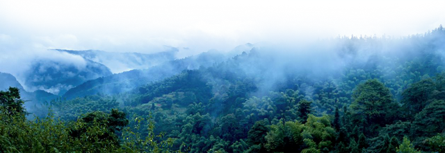 重庆市江津区历史沿革及行政区划