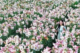 听说！宜春人最近都想去这里！图片