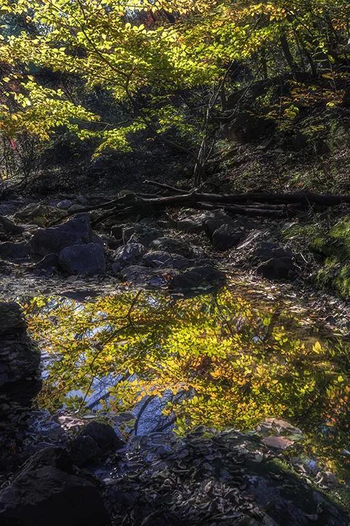 一键收藏!明光南部2025年秋景大赏