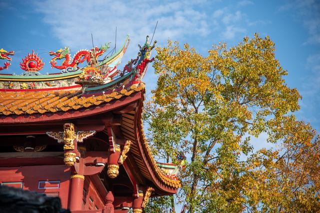 初冬古城｜听落叶飘落，才算读懂它的温柔