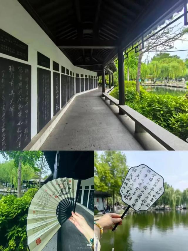 好客临沂放大招！“天赋一‘饼’”争霸赛主场开秀，景区+酒店优惠多到爆，等你来嗨！