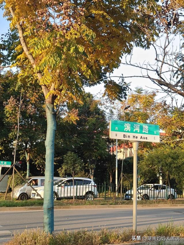 不用去南京，长沙也藏着 “梧桐秘境”！遛娃拍照美到窒息！