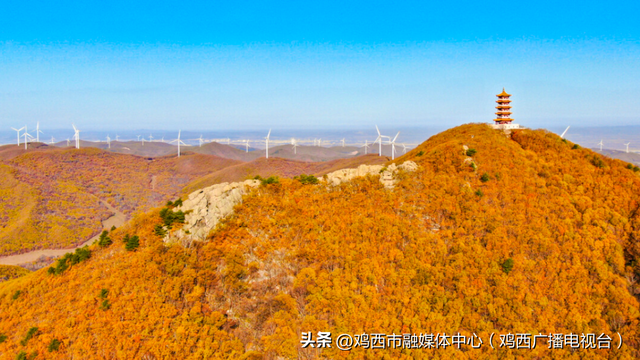 我市召开秋季特色文体旅新闻发布会 多项活动激活金秋旅游市场