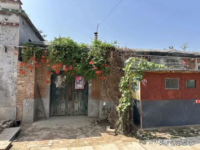 冠县乡韵·定远寨镇前杏园村