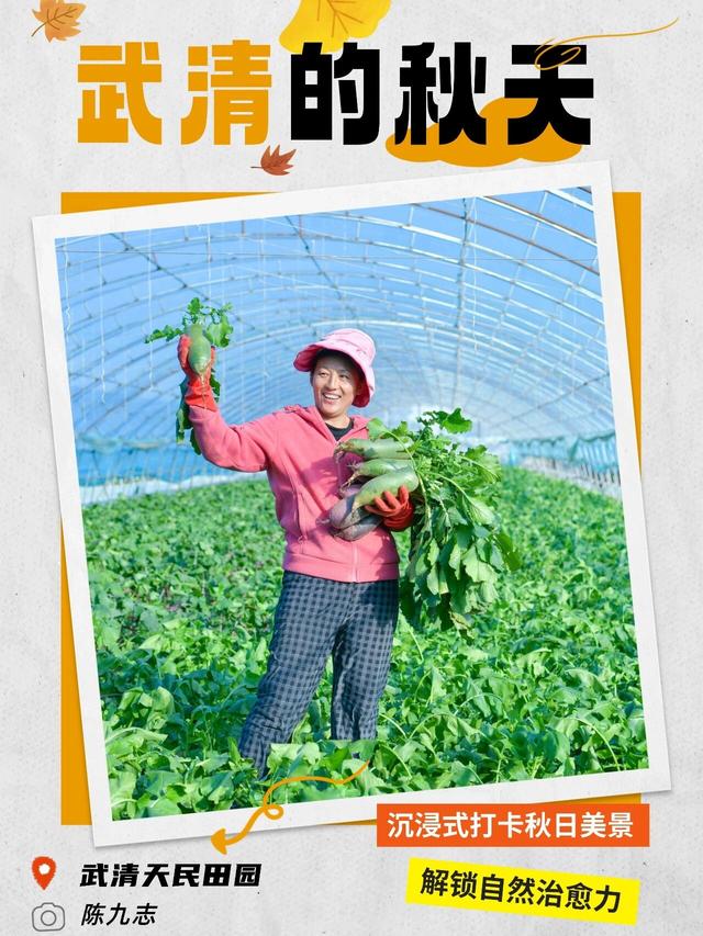 嗨，你的秋天留住了吗？