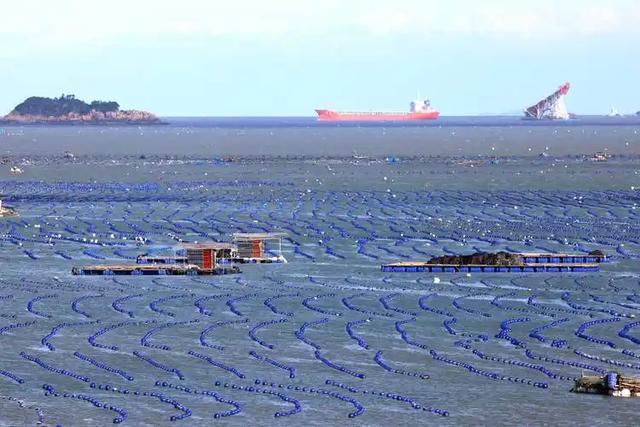 大国重器！沙海粮仓之后再现海上粮仓，15万吨级国字号重器成关键